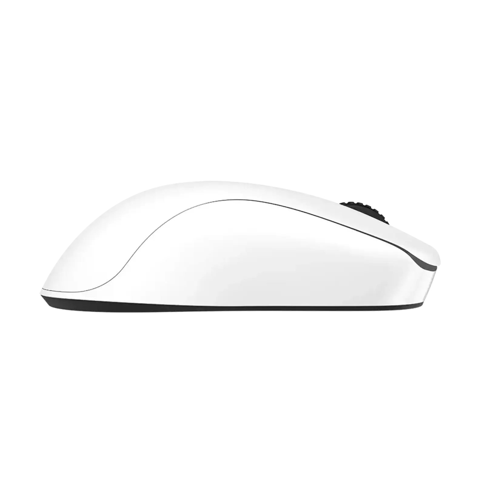 Миша Zowie U2-DW Glossy Edition (9H.N4PBE.A3E) UA