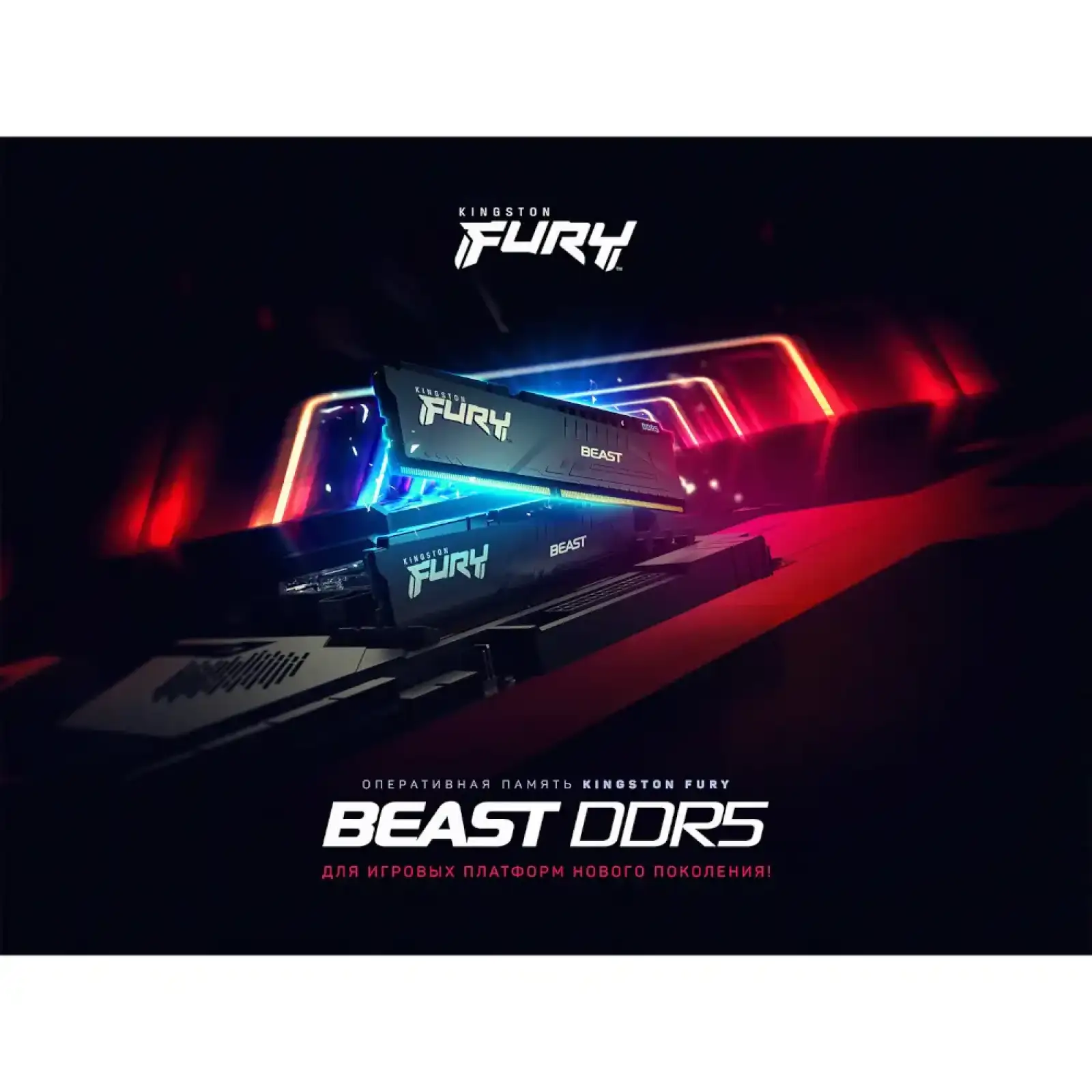 Модуль пам'яті KINGSTON 16Gb DDR5 5600MHz Fury Beast Black EXPO KF556C36BBE-16 UA