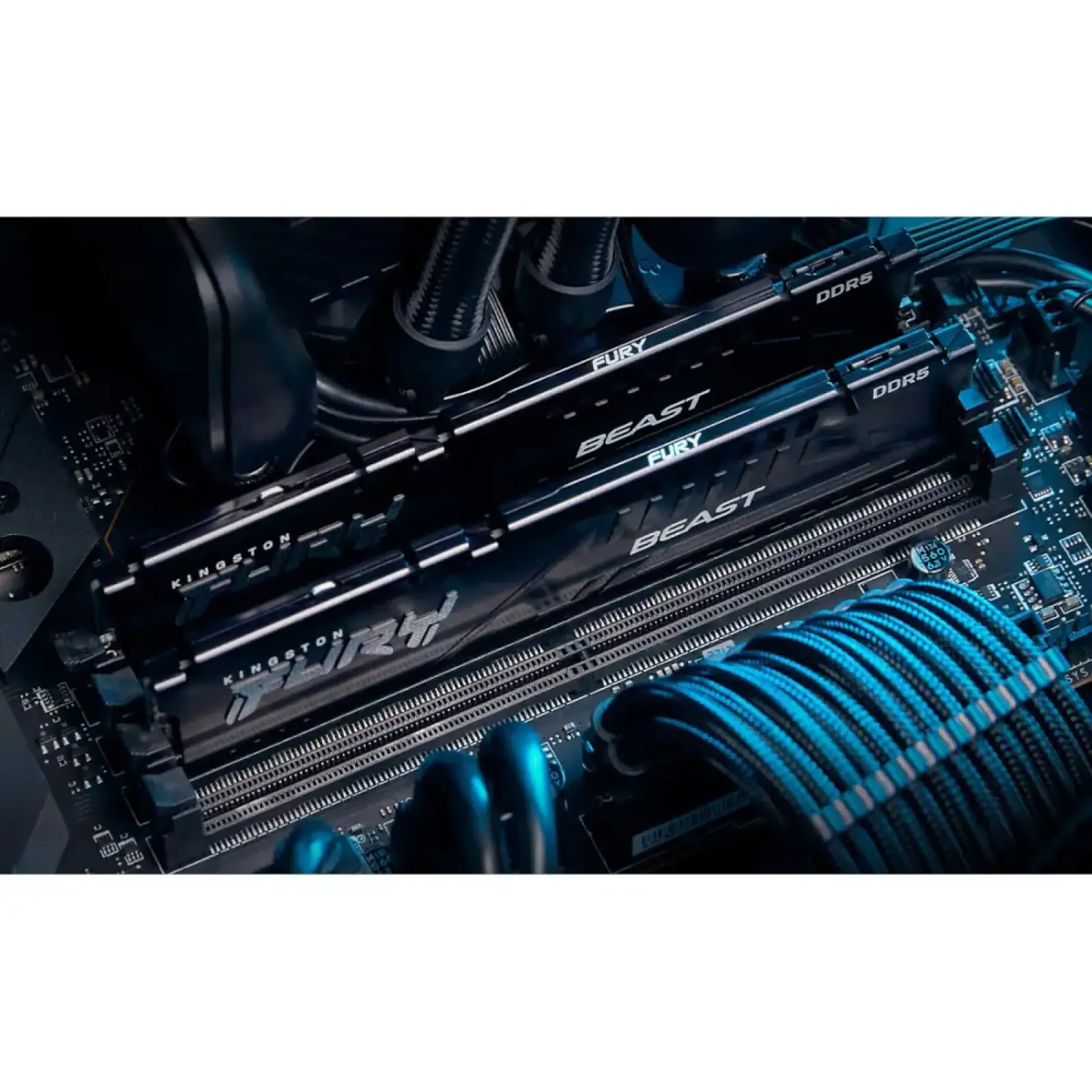 Модуль пам'яті KINGSTON 16Gb DDR5 5600MHz Fury Beast Black EXPO KF556C36BBE-16 UA