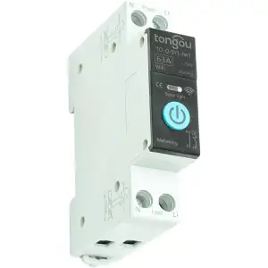 Розумний TUYA 1-полюсний перемикач Wi-Fi, 63A (HS081980)