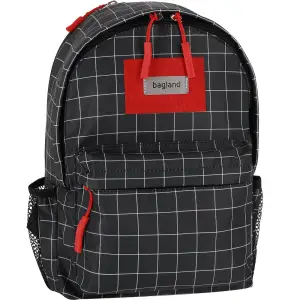 Рюкзак Bagland Stylish 24 л сублимация 1339 (00518694) UA