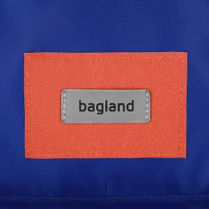 Рюкзак Bagland Stylish S 8л електрик (0055469) UA