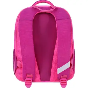 Рюкзак школьный Bagland Отличник 20 л. 143 малина 899 (0058070) UA