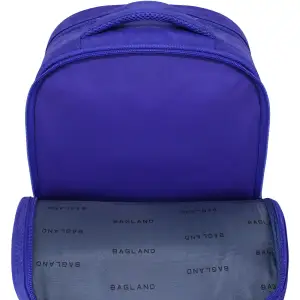 Рюкзак шкільний Bagland Відмінник 20 л. 225 синій 534 (0058070) UA