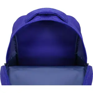 Рюкзак шкільний Bagland Відмінник 20 л. 225 синій 534 (0058070) UA