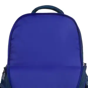Рюкзак школьный Bagland Отличник 20 л. 225 синий 1092 (0058070) UA