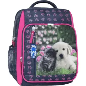 Рюкзак шкільний Bagland Школяр 8 л. 321 сірий 138 д (0012870) UA
