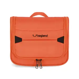 Органайзер Bagland Frame 5,2л. оранжевый (0090653) UA