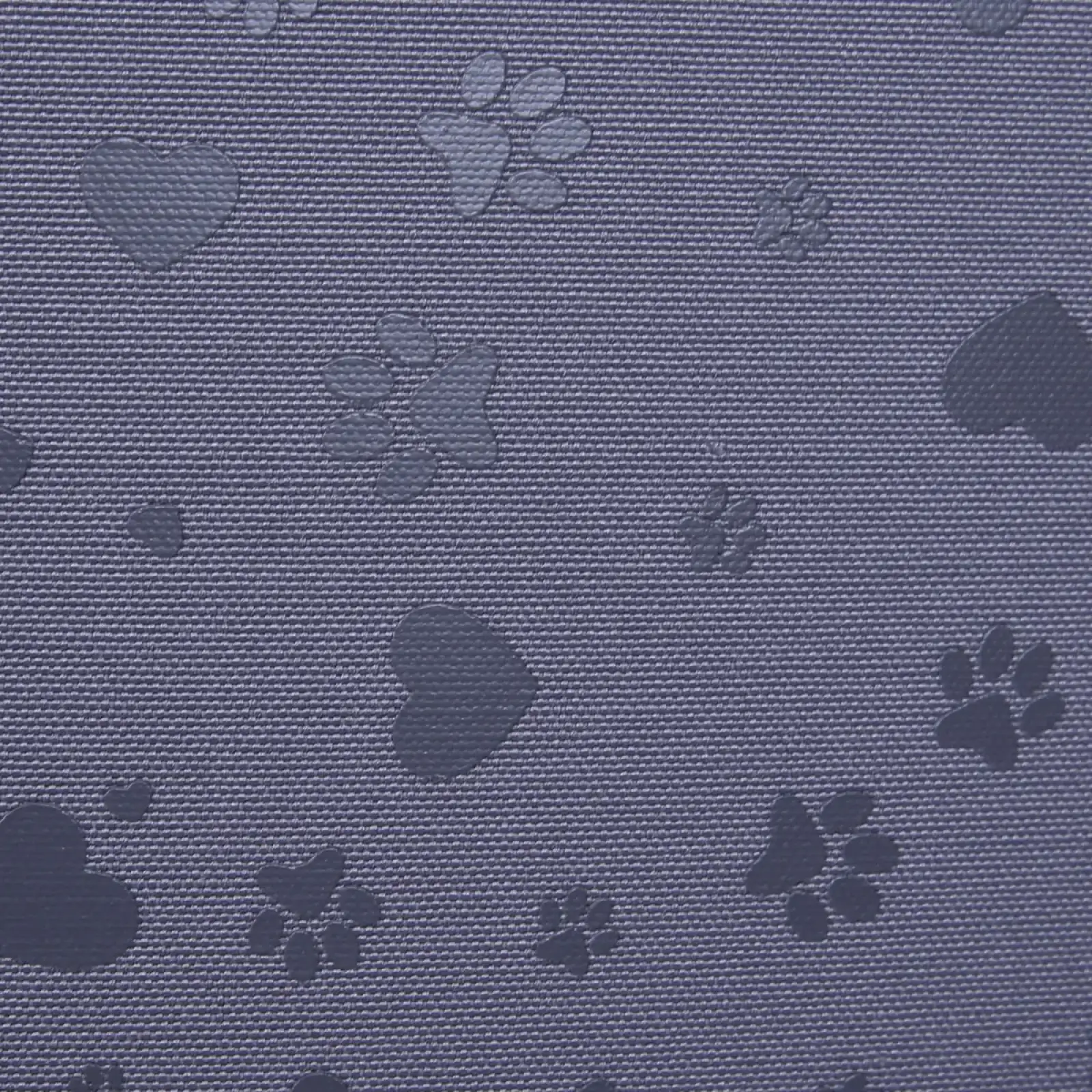 Рюкзак шкільний каркасний Yes My Lovely Pet H-100S