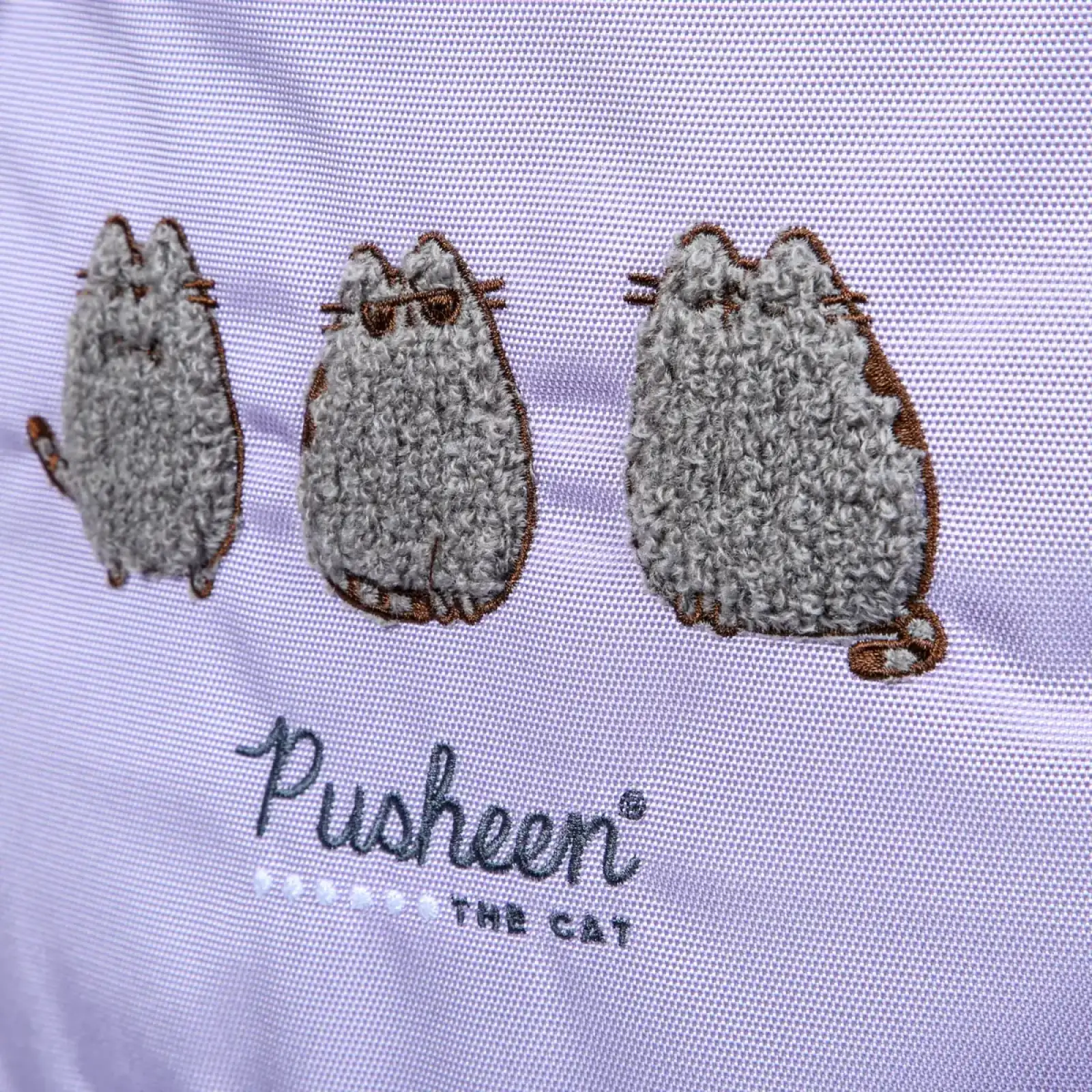 Рюкзак школьный Yes Ergo Pusheen Delicacy S-52S