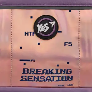Рюкзак YES Feeling T-107