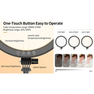 Відеосвітло Ulanzi Vijim 10inch streaming key light (UV-2591 K13)