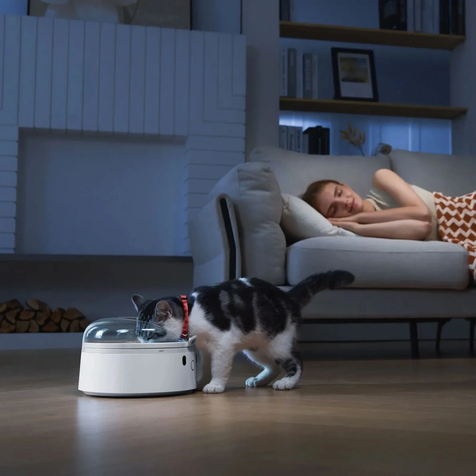 Смарт годівниця CATLINK RFID Pet Feeder - Standard (6972884750965)