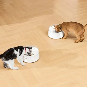 Смарт годівниця CATLINK RFID Pet Feeder - Standard (6972884750965)