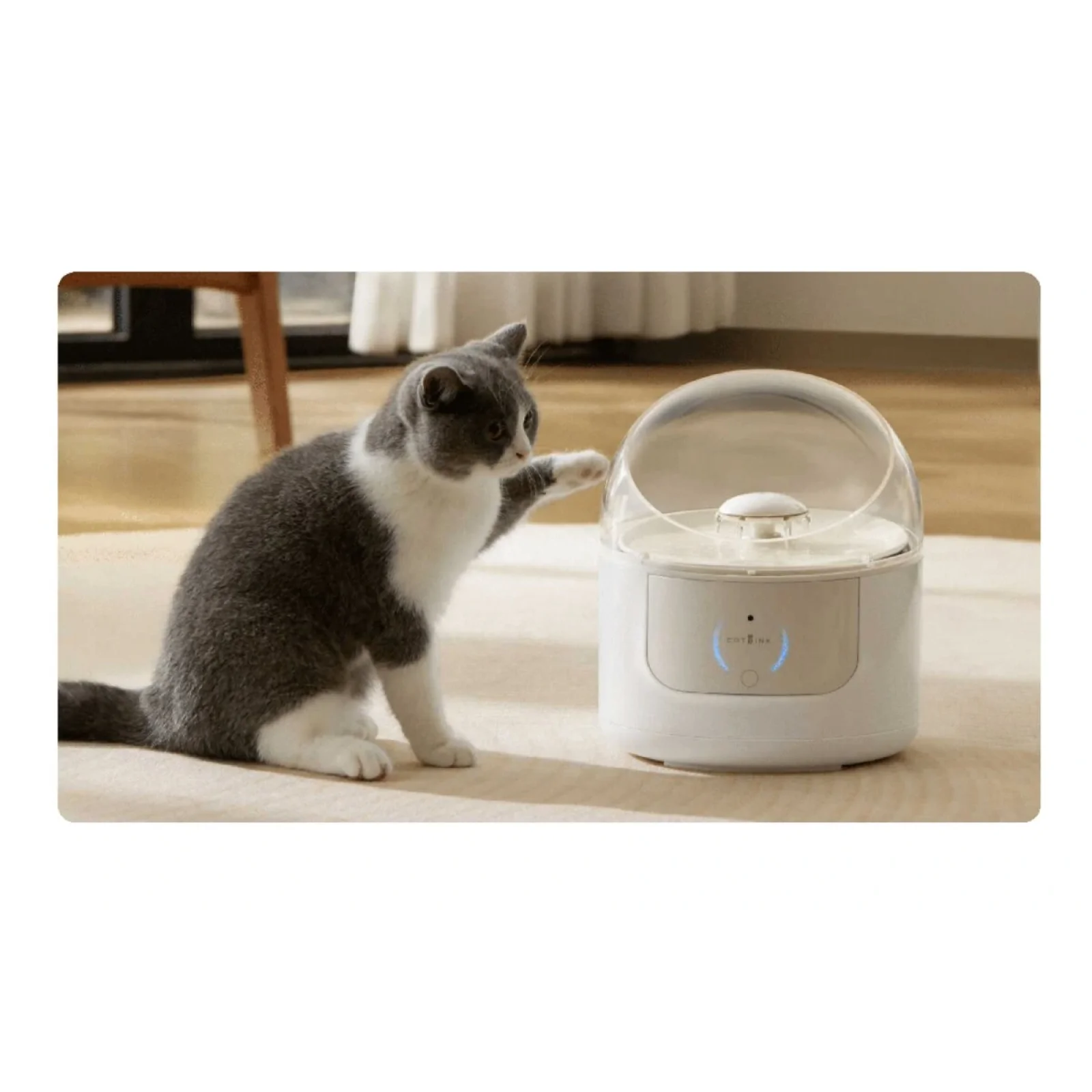 Поїлка CATLINK AI Water Fountain - Pure 1 (6972884750149)