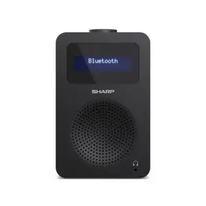 Радиоприемник Sharp DR430BK Black (DR-430(BK)) UA