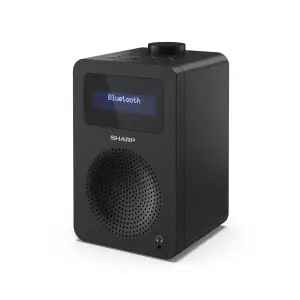 Радиоприемник Sharp DR430BK Black (DR-430(BK)) UA