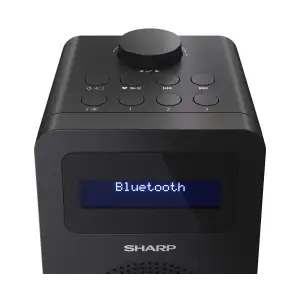 Радиоприемник Sharp DR430BK Black (DR-430(BK)) UA