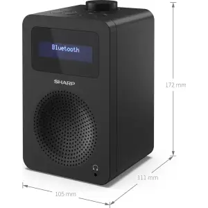 Радиоприемник Sharp DR430BK Black (DR-430(BK)) UA