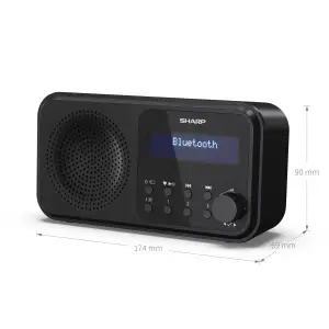 Радіоприймач Sharp DR-P420 Midnight Black (DR-P420(BK)) UA