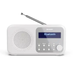 Радіоприймач Sharp DR-P420 Snowy White (DR-P420(WH)) UA