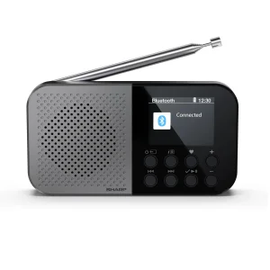 Радіоприймач Sharp DR-P520 Grey (DR-P520(GY)) UA