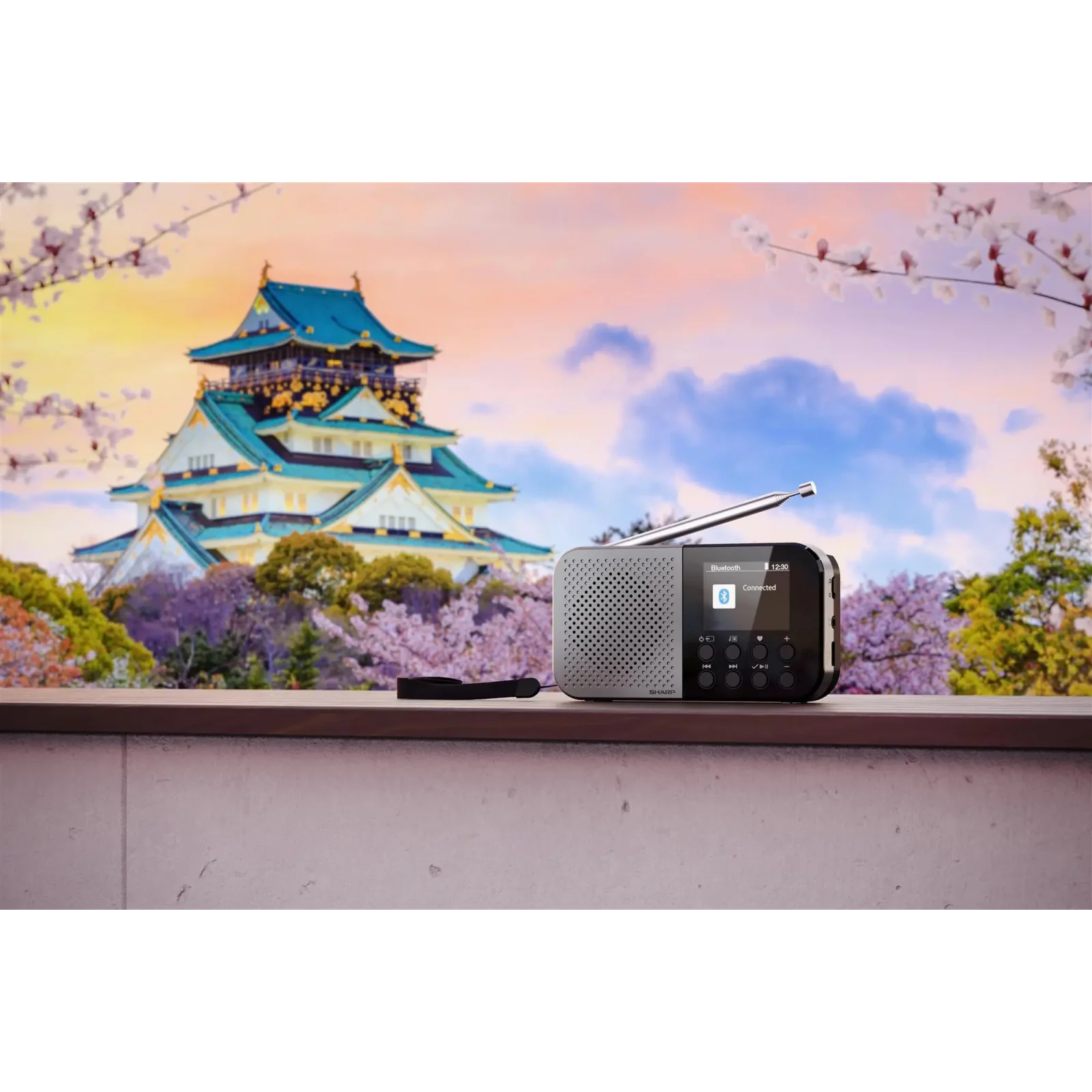 Радіоприймач Sharp DR-P520 Grey (DR-P520(GY)) UA