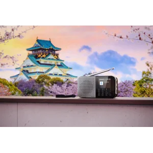 Радіоприймач Sharp DR-P520 Grey (DR-P520(GY)) UA