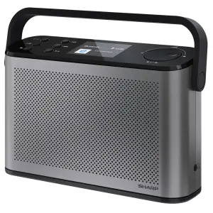 Радиоприемник Sharp DR-P540 Grey (DR-P540(GY)) UA