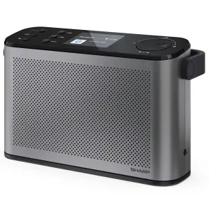 Радиоприемник Sharp DR-P540 Grey (DR-P540(GY)) UA