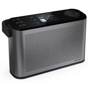 Радиоприемник Sharp DR-P540 Grey (DR-P540(GY)) UA