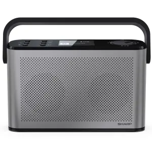 Радиоприемник Sharp DR-P540 Grey (DR-P540(GY)) UA