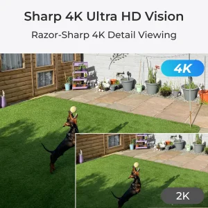 IP камера Reolink P850 (RLC-823A 16X) UA