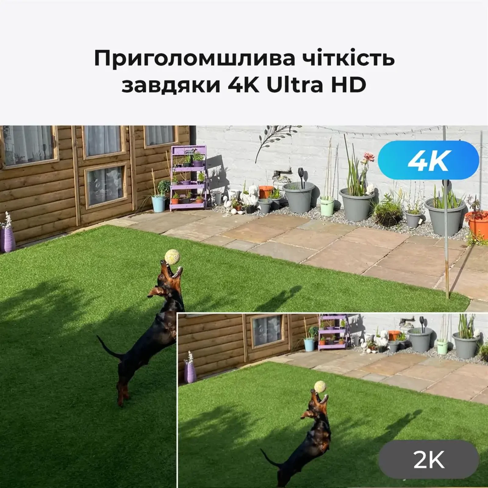 IP камера Reolink P330 2.8 mm (RLC-810A) UA