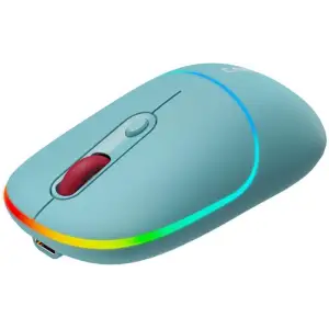 Мышь беспроводная Canyon MW-22 Dual Band RGB Wireless Dark Cyan (CNS-CMSW22DC) UA