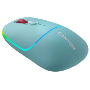Мышь беспроводная Canyon MW-22 Dual Band RGB Wireless Dark Cyan (CNS-CMSW22DC) UA