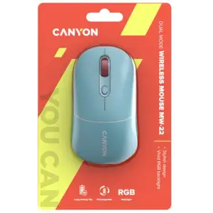 Мышь беспроводная Canyon MW-22 Dual Band RGB Wireless Dark Cyan (CNS-CMSW22DC) UA