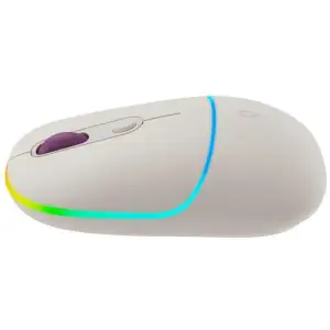 Мышь беспроводная Canyon MW-22 Dual Band RGB Wireless Rice (CNS-CMSW22RC) UA