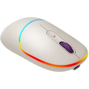 Мышь беспроводная Canyon MW-22 Dual Band RGB Wireless Rice (CNS-CMSW22RC) UA