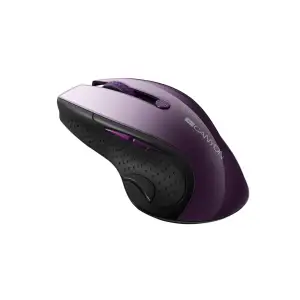 Мышь беспроводная Canyon CNS-CMSW01P Purple USB UA