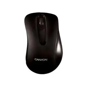 Мышь Canyon CNE-CMS2 Black USB UA