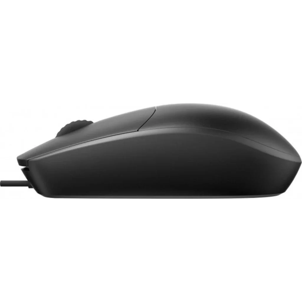 Мышь Rapoo N100 Black USB UA