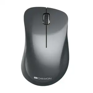 Мышь беспроводная Canyon CNE-CMSW11B Black USB UA