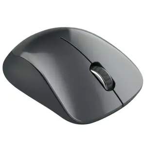 Миша бездротова Canyon CNE-CMSW11B Black USB UA