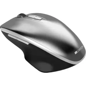 Мышь беспроводная Canyon CNS-CMSW21DG Dark Gray USB UA