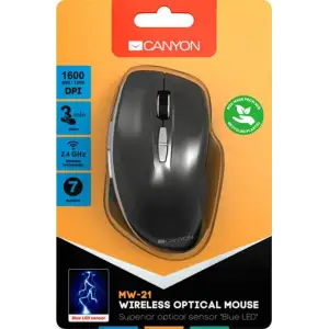 Мышь беспроводная Canyon CNS-CMSW21DG Dark Gray USB UA