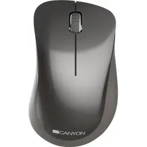 Мышь беспроводная Canyon CNS-CMSW911DG Dark Gray USB UA