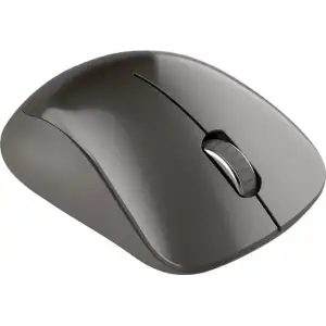 Мышь беспроводная Canyon CNS-CMSW911DG Dark Gray USB UA