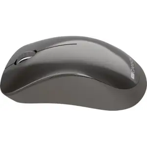 Мышь беспроводная Canyon CNS-CMSW911DG Dark Gray USB UA