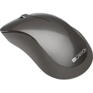 Мышь беспроводная Canyon CNS-CMSW911DG Dark Gray USB UA